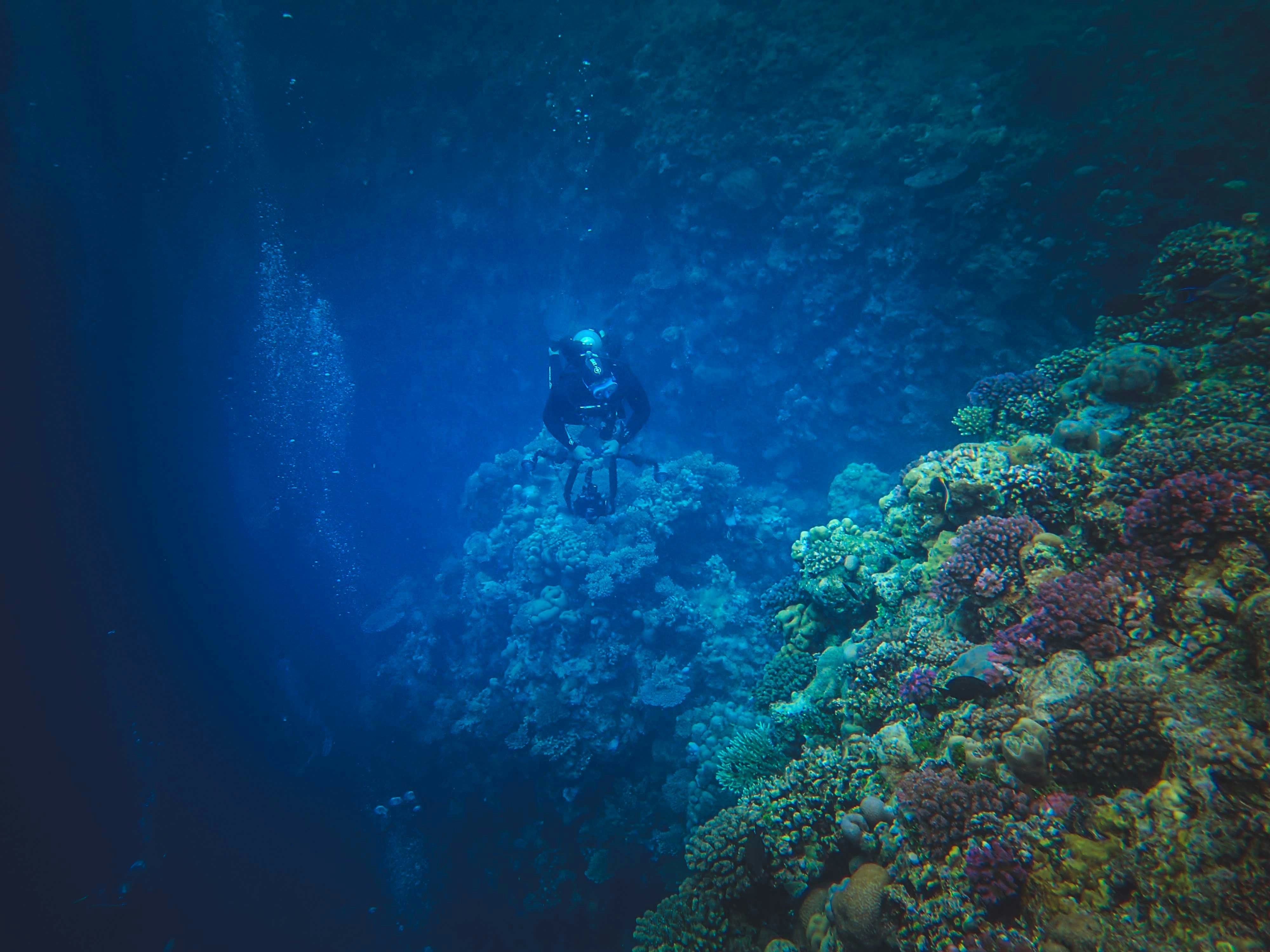 Deep Sea Exhibit